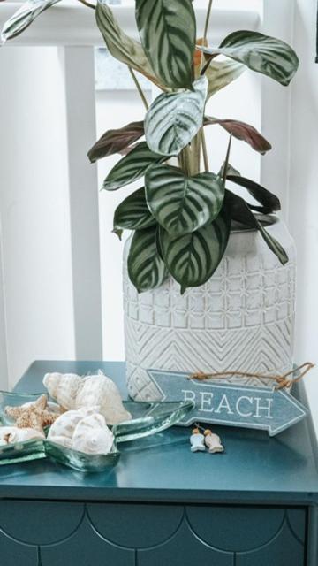 Appartamento The Sea Loft Castlerock. Esterno foto