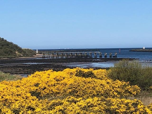 Appartamento The Sea Loft Castlerock. Esterno foto